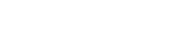 Perkins Consulting Group